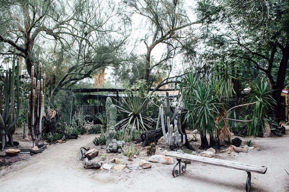 Desert Lodge Palm Springs Kültér fotó