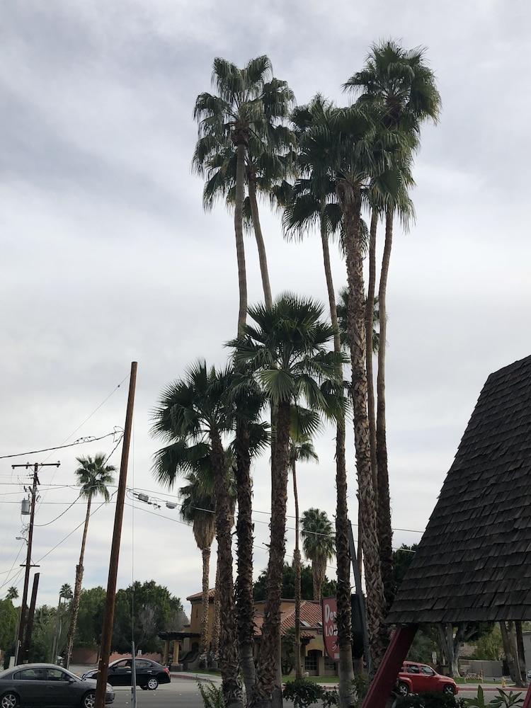 Desert Lodge Palm Springs Kültér fotó