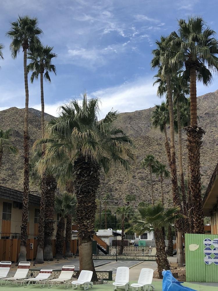 Desert Lodge Palm Springs Kültér fotó