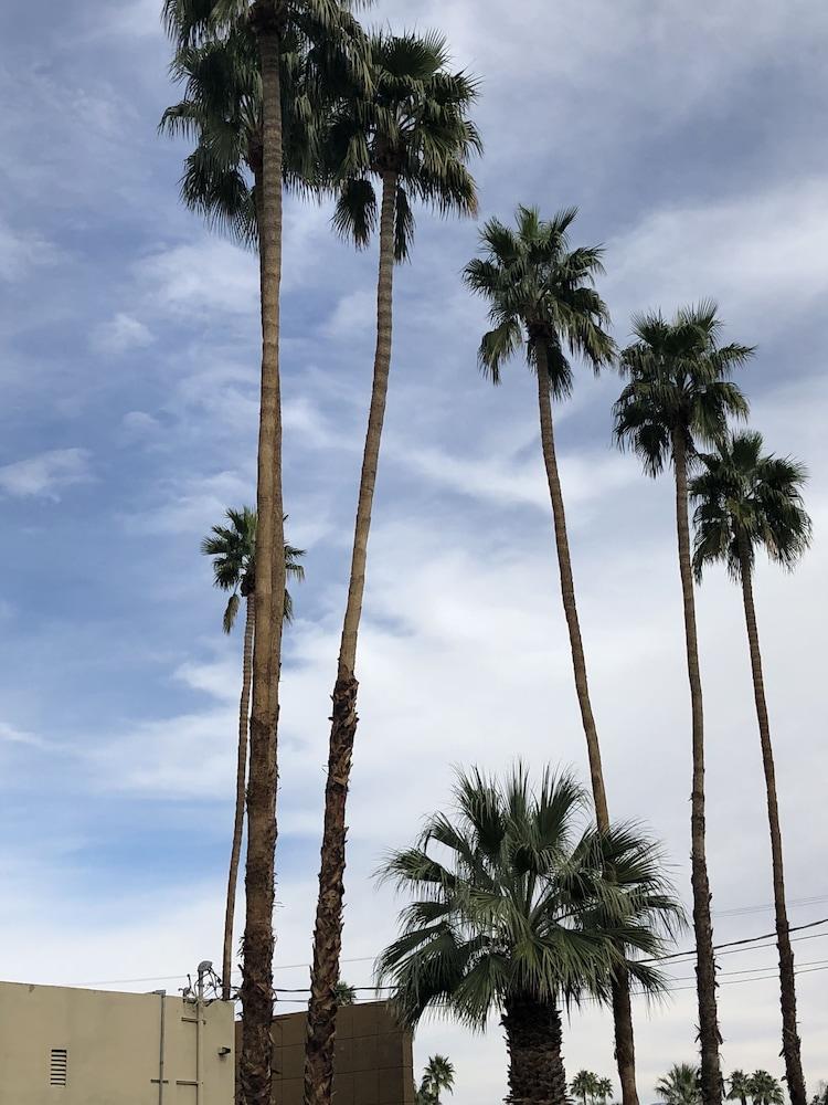 Desert Lodge Palm Springs Kültér fotó