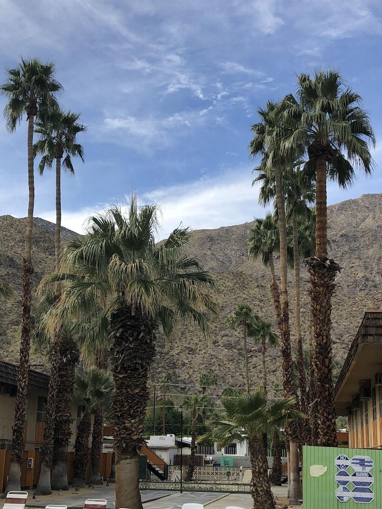 Desert Lodge Palm Springs Kültér fotó